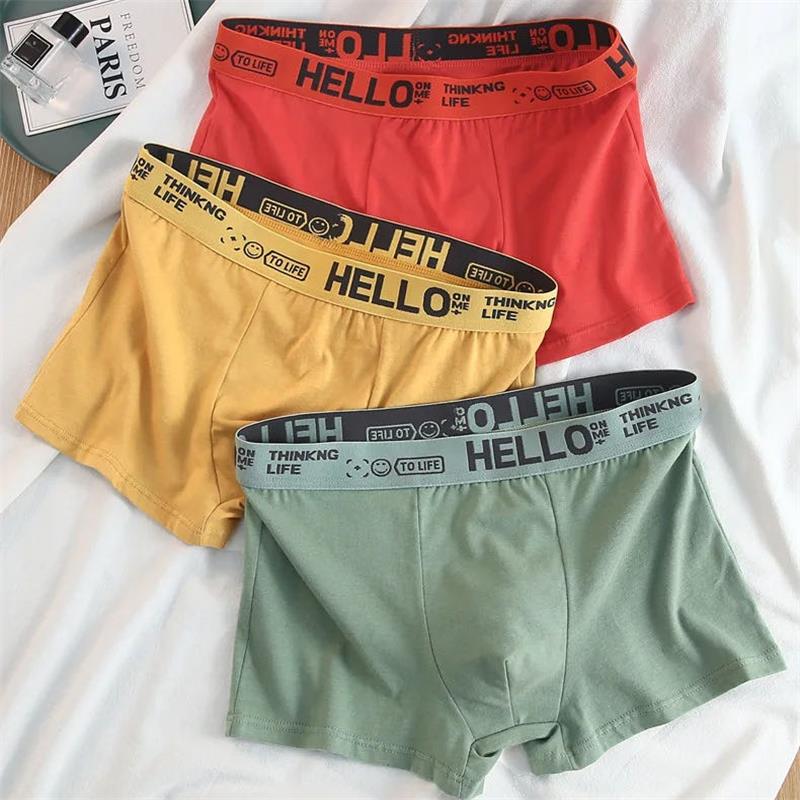 10Pieces/ Men's Underwear Men  - Boxer Brief Pack Cotton avaliação e preço