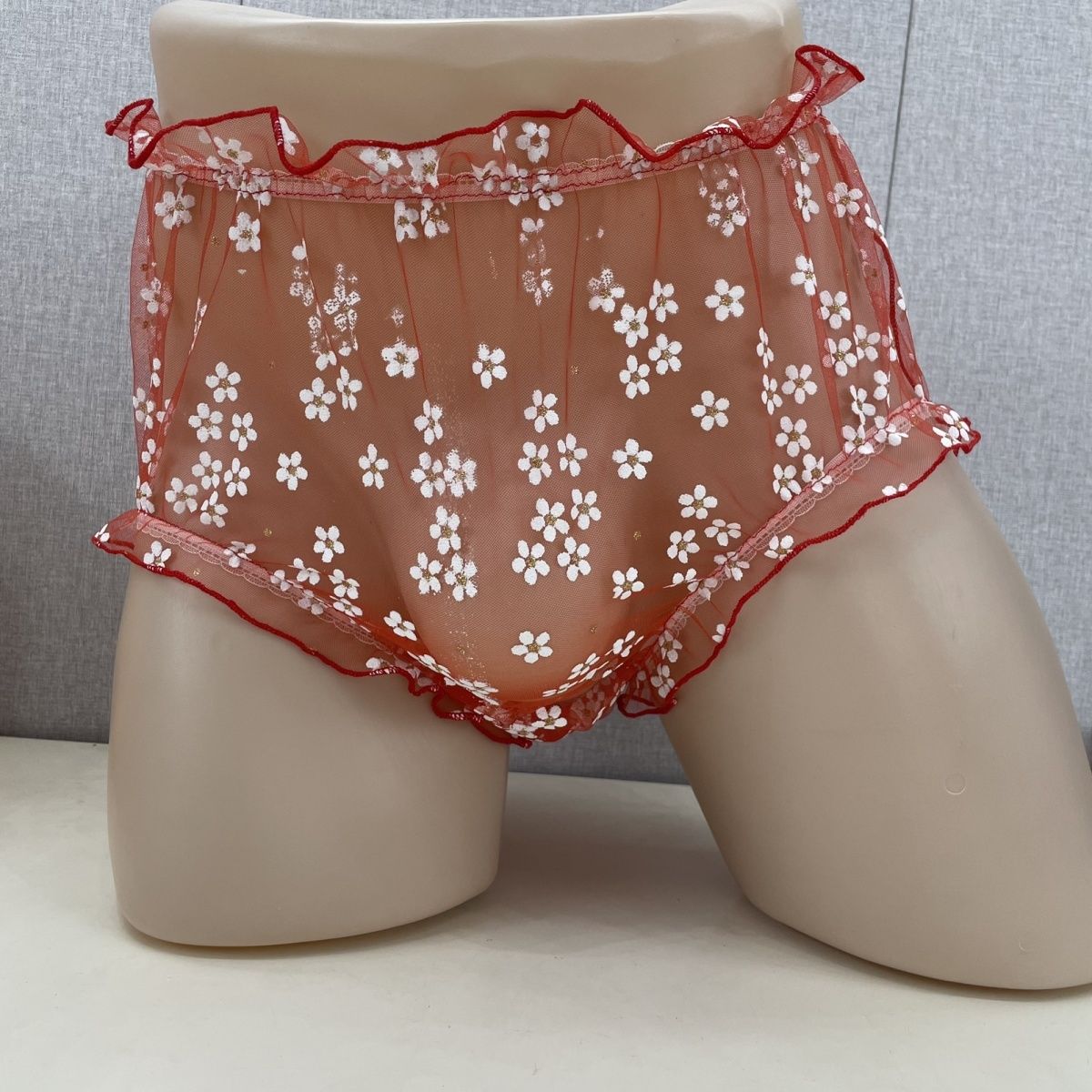 Mesh Men's Briefs Front Widene - Pouch Boxer Pouch avaliação e preço