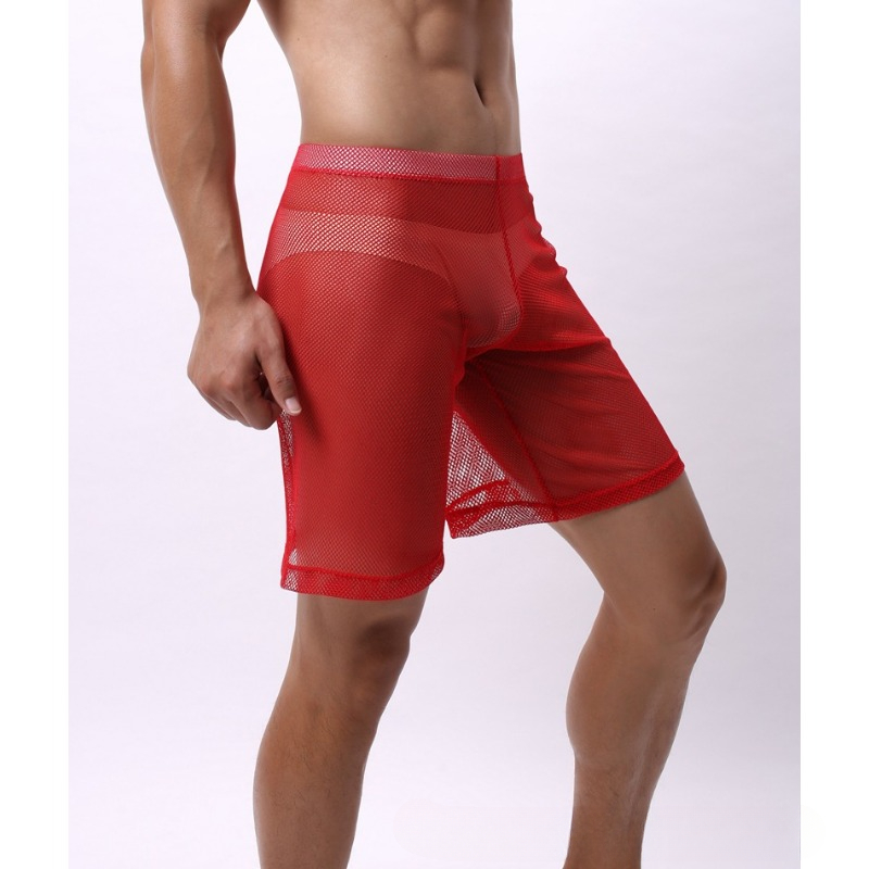 Low Rise Mesh Erotic Underwear - Pouch Boxer Pouch avaliação e preço
