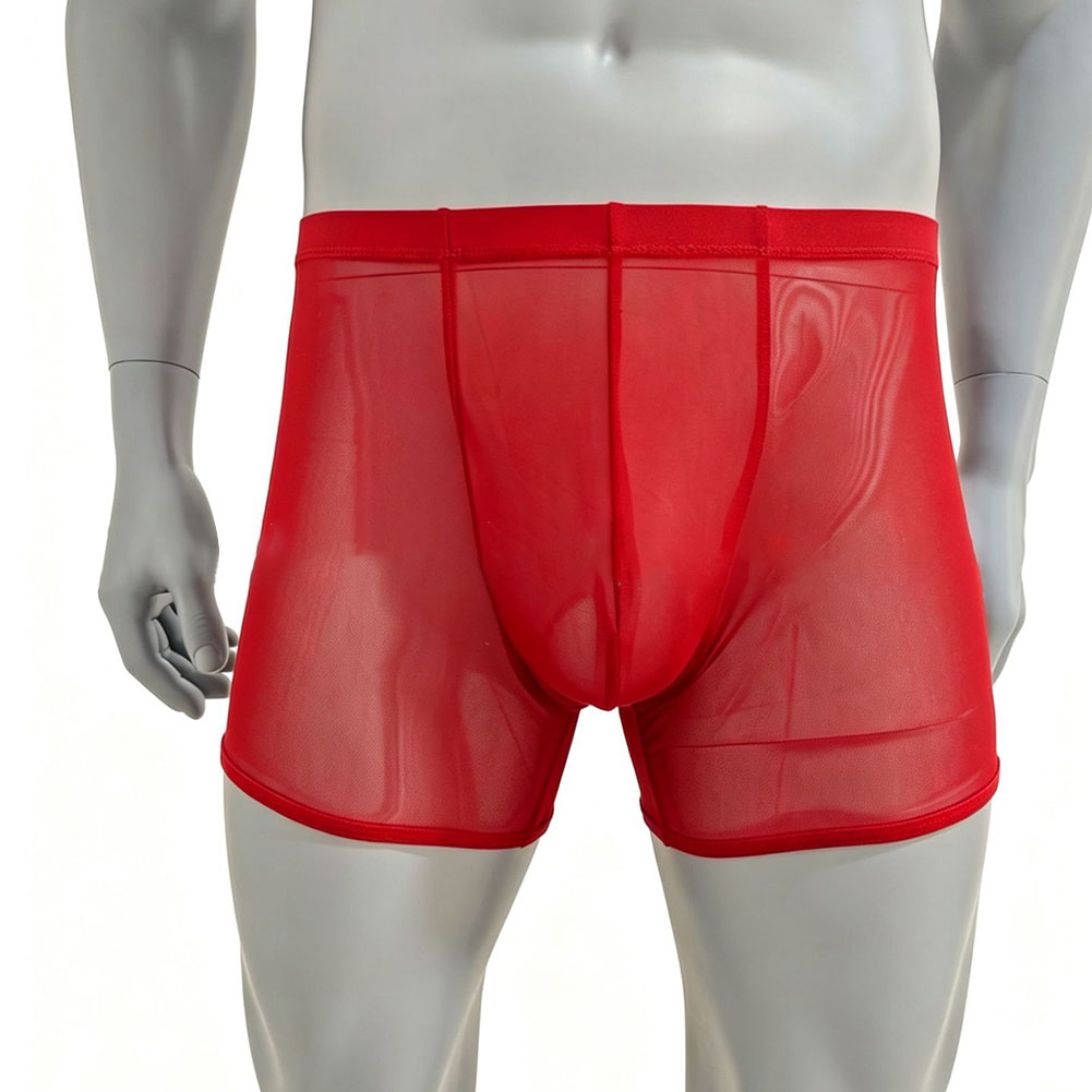 Men Mesh See-through Ultra-thi - Long Leg Trunk Men avaliação e preço