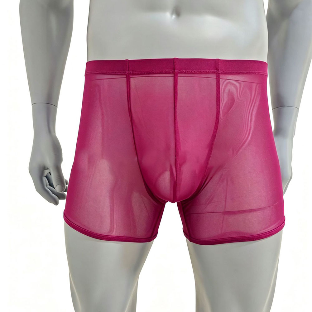 Men Mesh See-through Ultra-thi - Long Leg Trunk Men avaliação e preço