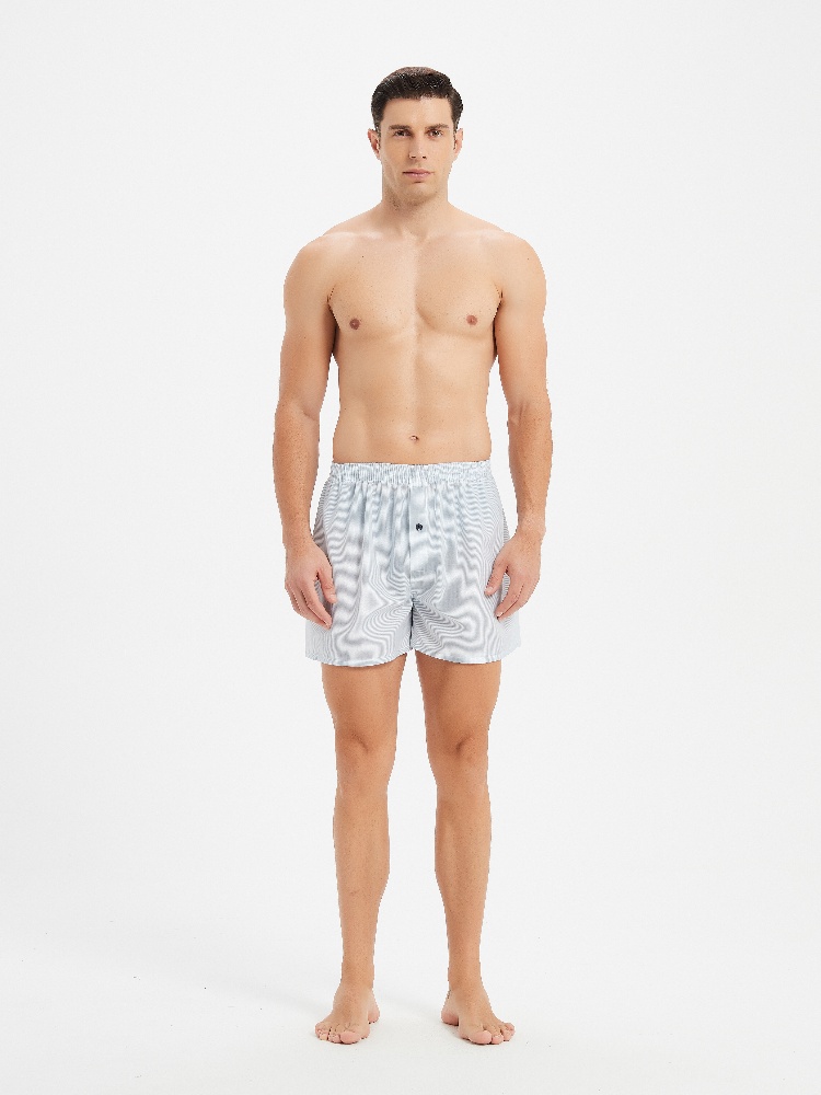 10pcs Men's Underwear Spring/S - Boxer Brief Pack Cotton avaliação e preço